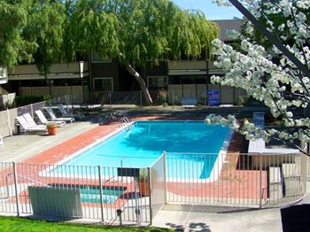 Shimmering swimming pool